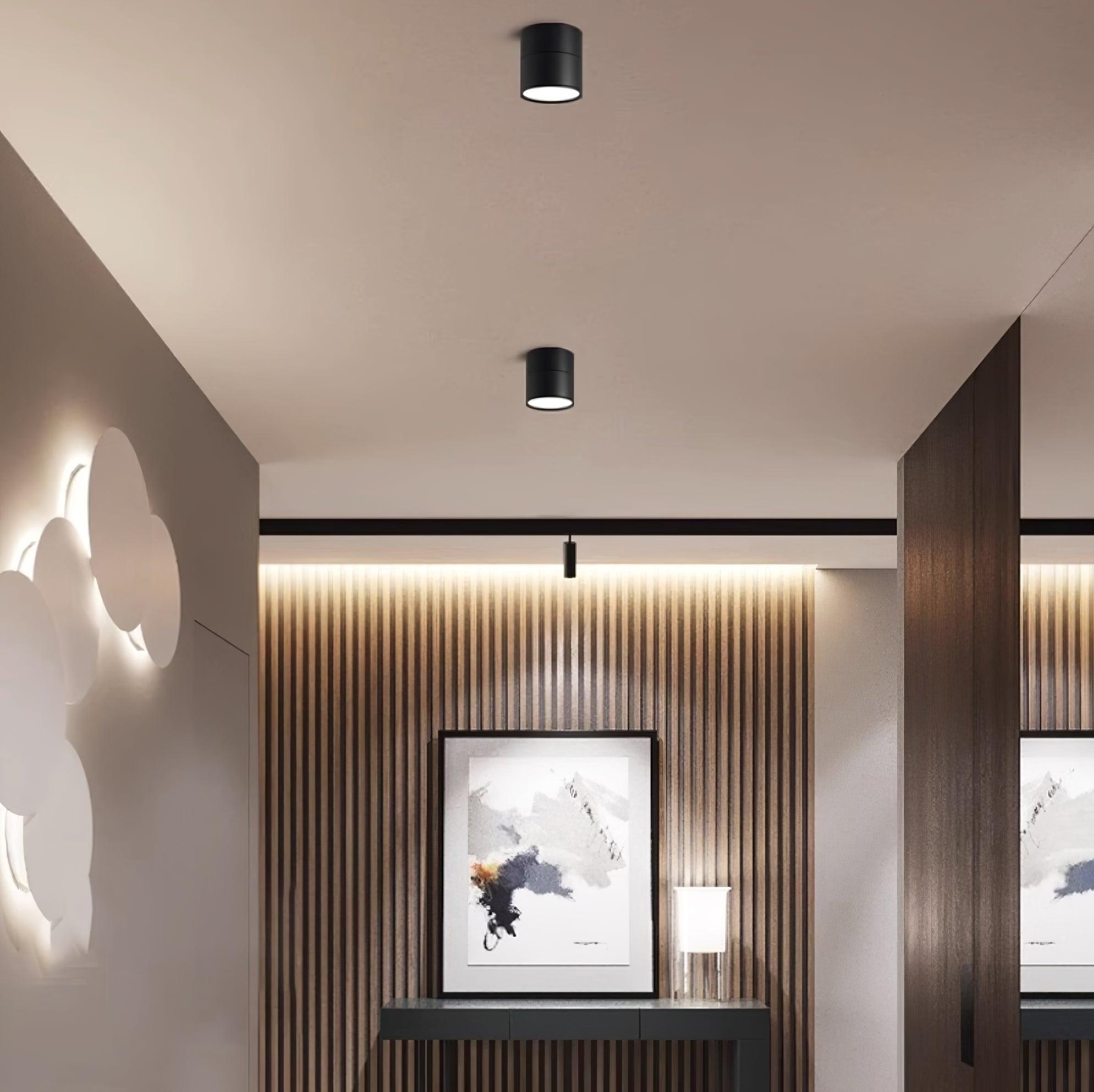 AeroLume | Ceiling Light – Modern Adjustable LED Spotlight