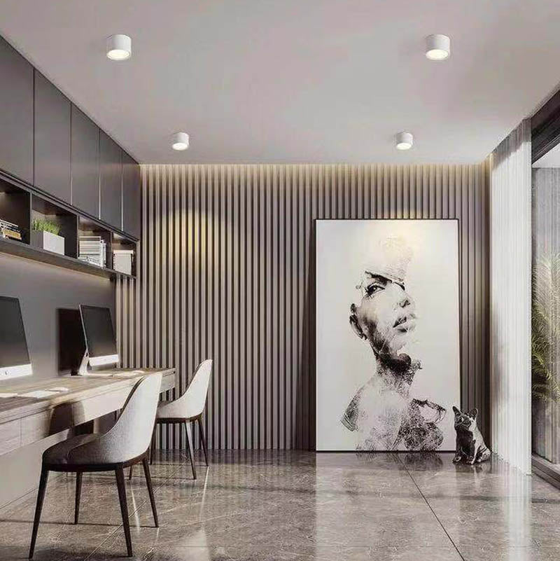 LumeDisc | Surface Light – Clean Bright Contemporary Lighting