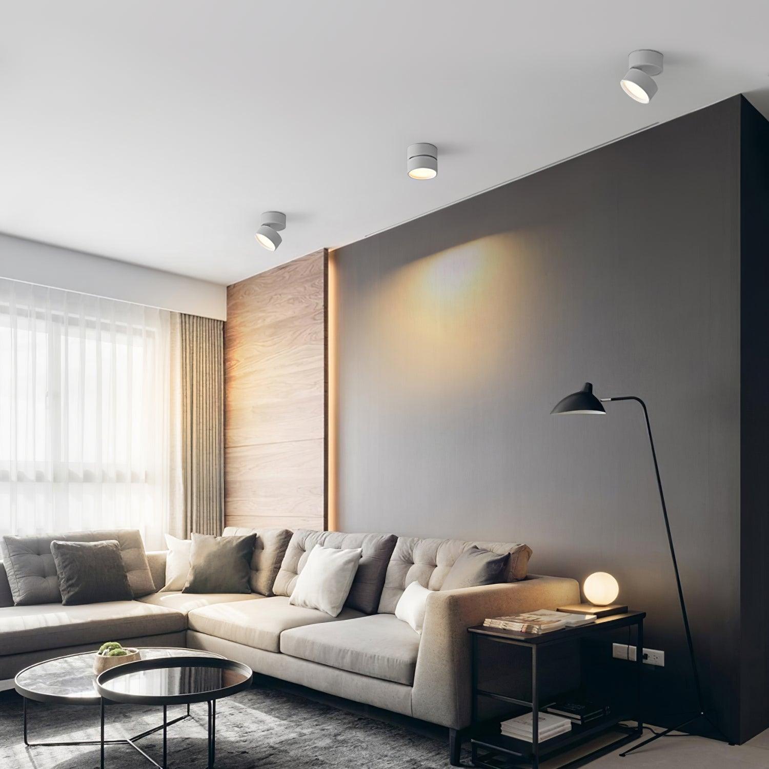 AeroLume | Ceiling Light – Modern Adjustable LED Spotlight