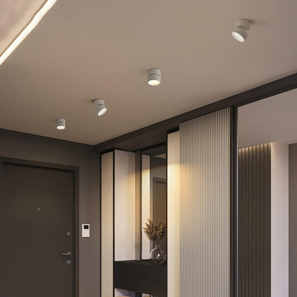 AeroLume | Ceiling Light – Modern Adjustable LED Spotlight