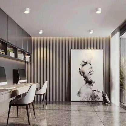 LumeDisc | Surface Light – Clean Bright Contemporary Lighting