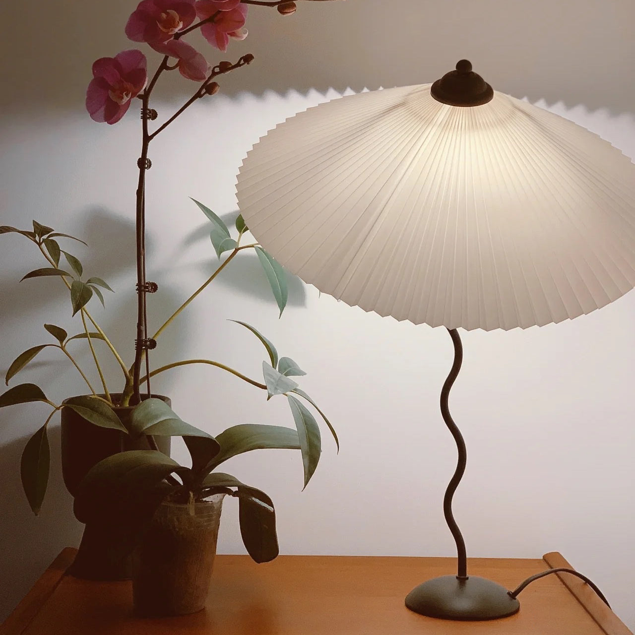 Nordic Style Squiggle Table Lamp - Elegant Curvy Design for Bedroom & Living Room